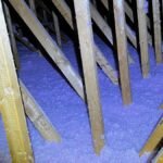 go green insulation