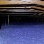 go green insulation