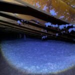 go green insulation