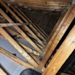 go green insulation