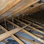 go green insulation