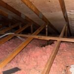 go green insulation