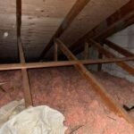 go green insulation