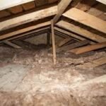 go green insulation