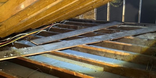 go green insulation