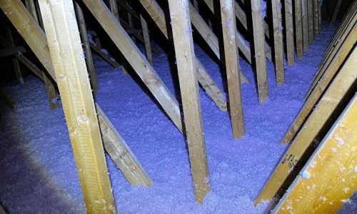 go green insulation