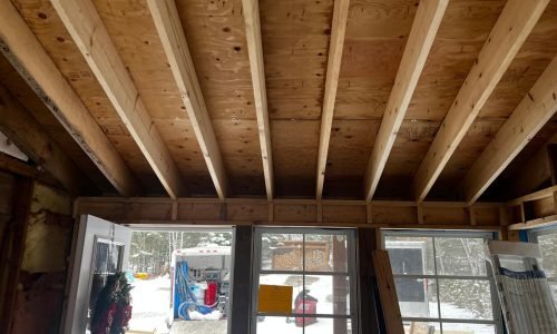 go green insulation