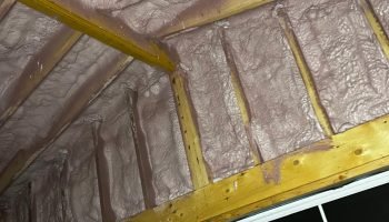 IMG-20250710-WA0049 - Copy (2)