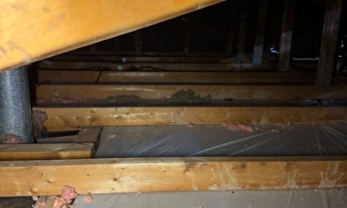 go green insulation