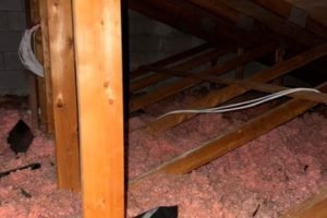 IMG-20250710-WA0081 - Copy