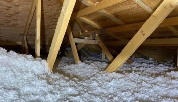 IMG-20250914-WA0005 - Copy