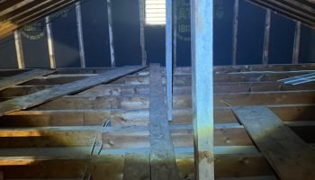 WhatsApp Image 2025-09-14 at 13.13.43_1c36c450