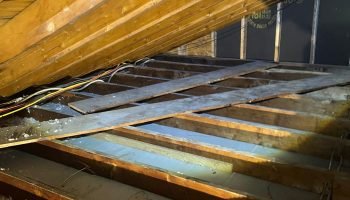 WhatsApp Image 2025-09-14 at 13.13.44_cd1cc3a8