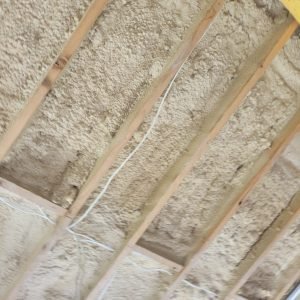 WhatsApp Image 2025-09-14 at 13.59.22_54c0db91